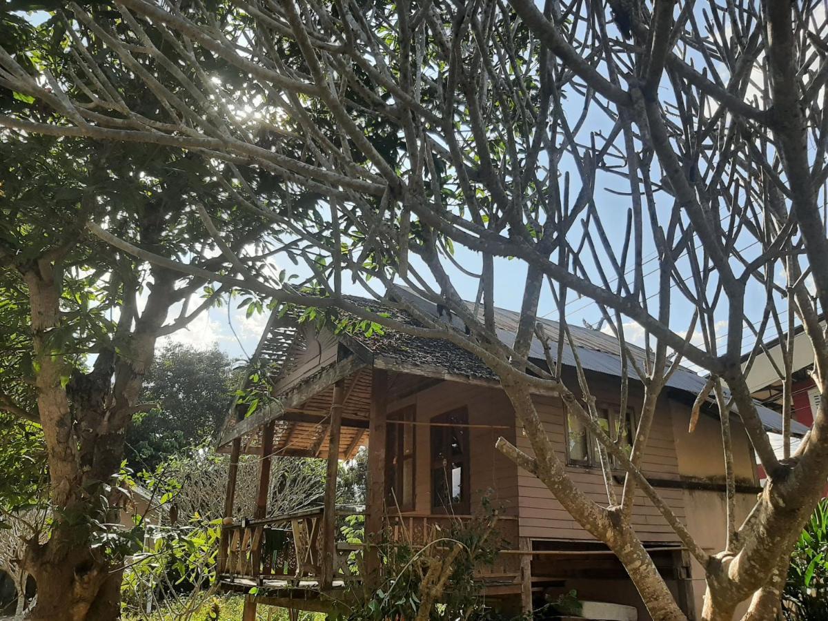 Pai River Jam Hostel & Campground باي المظهر الخارجي الصورة